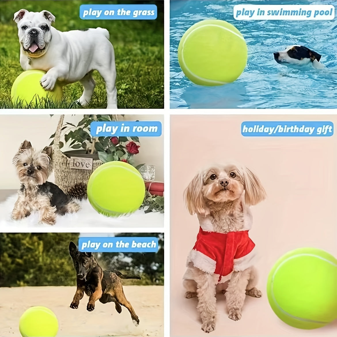 Extra hållbar tennisboll för stora hundar – Perfekt för lek och utomhusaktiviteter