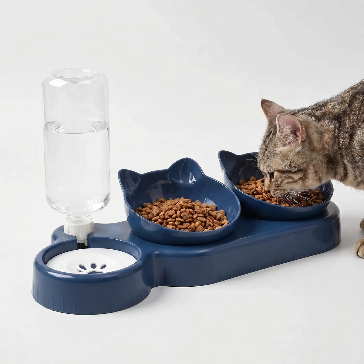 Skrå 3-i-1 Foderskål med Vanddispenser - Pawstation