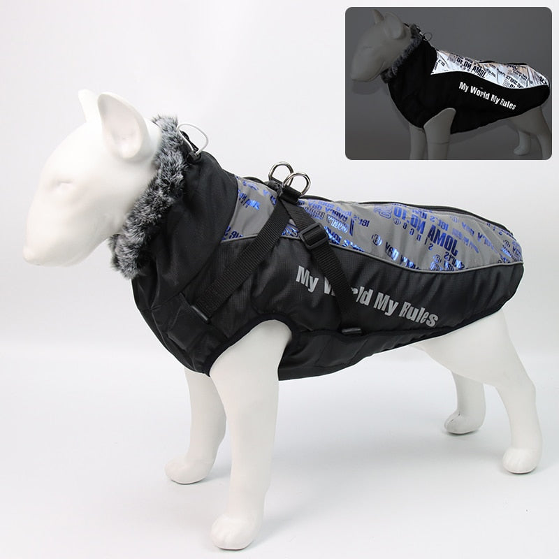Vattentäta vinterjackor för hund
