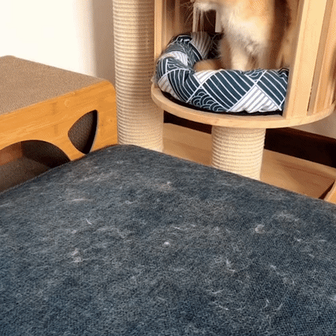 3-i-1 Dyrehårfjerner – PetClean Pro