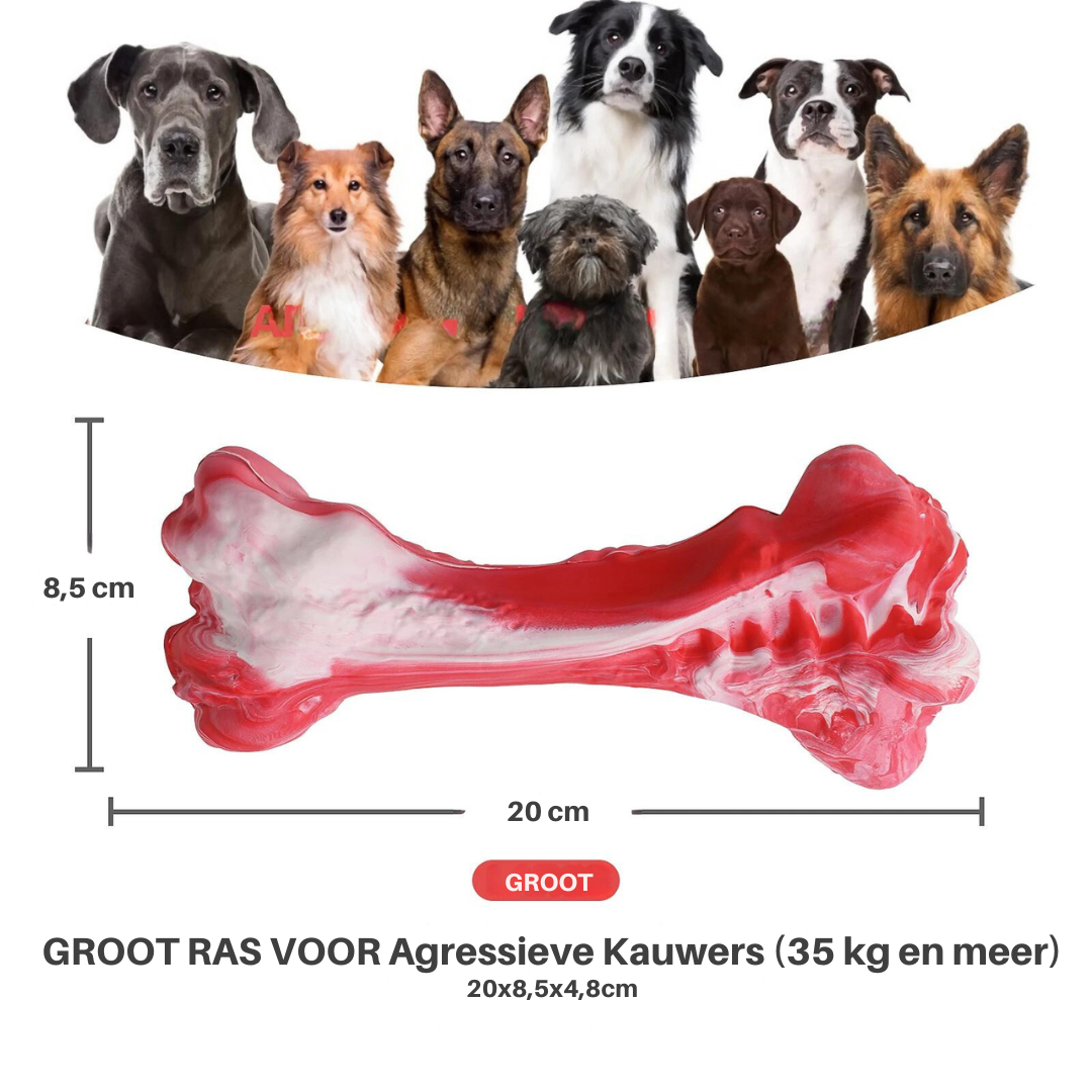 Legesyge Tandplejer til Hunde – BuddyChew