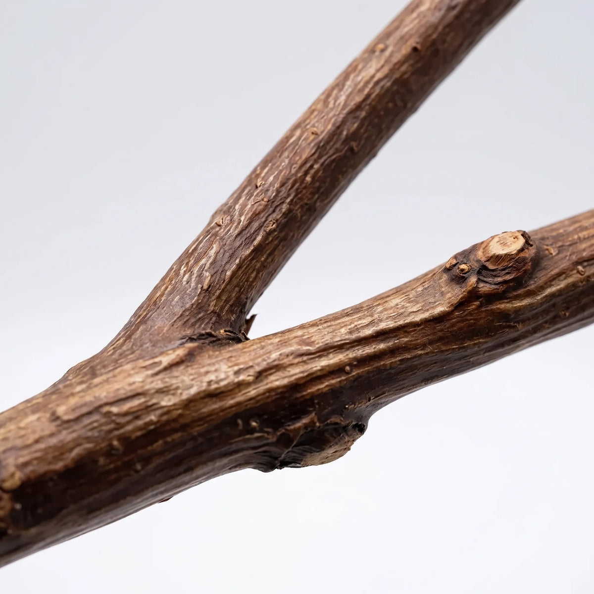Naturlig Fuglesiddepind - Perche med Twist