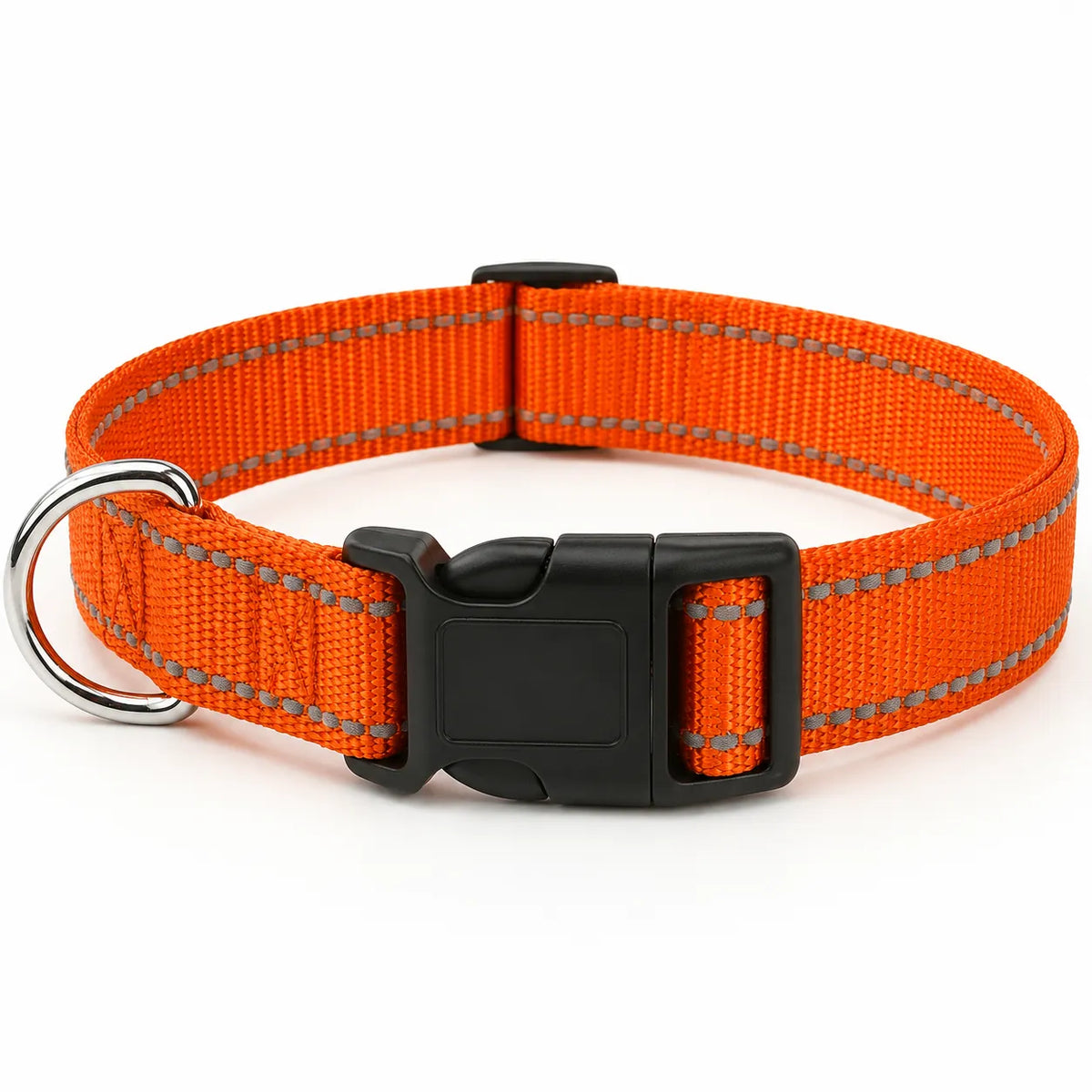 Reflekterande hundhalsband - säkerhet och synlighet
