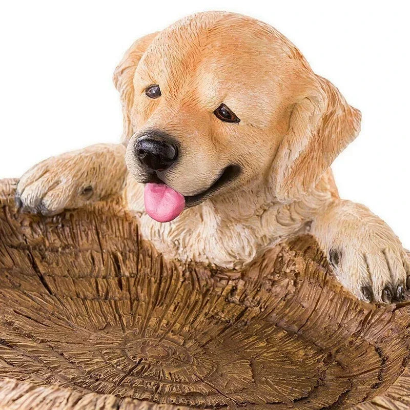 Guldfarvet Retriever Hvalp Havefigur til Fugl Badekar