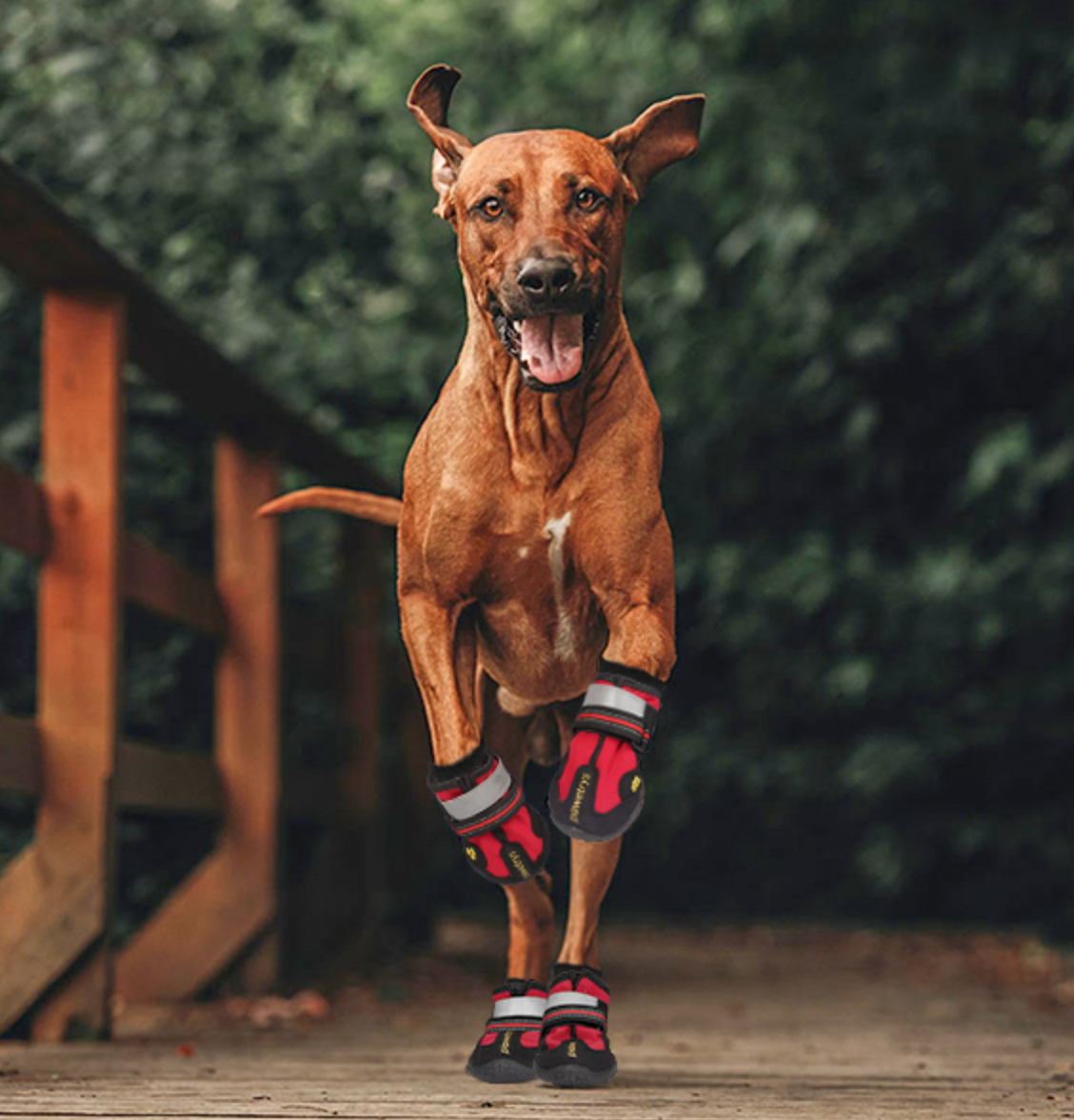 Halkfria Hundskor - Komfort och Säkerhet på Promenader