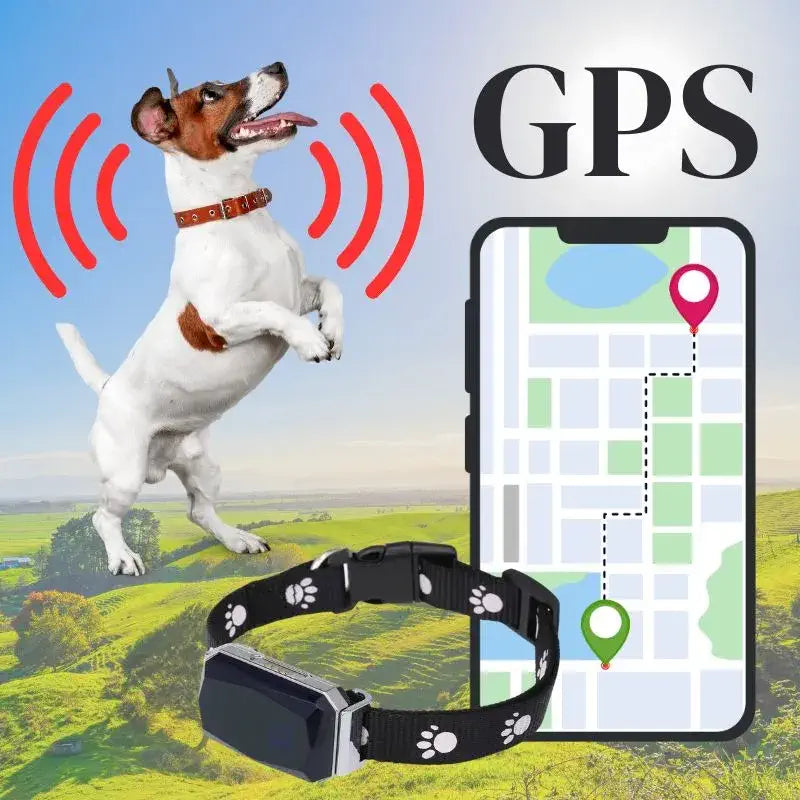 Vandtæt GPS Hundehalsbånd med Avanceret Sporingsteknologi