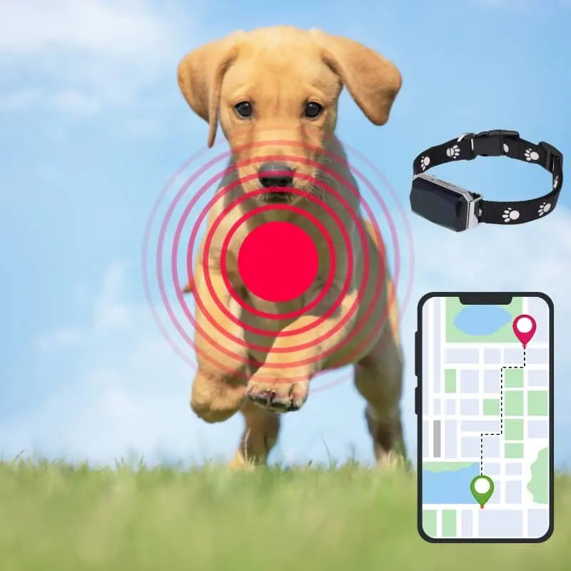 Vandtæt GPS Hundehalsbånd med Avanceret Sporingsteknologi