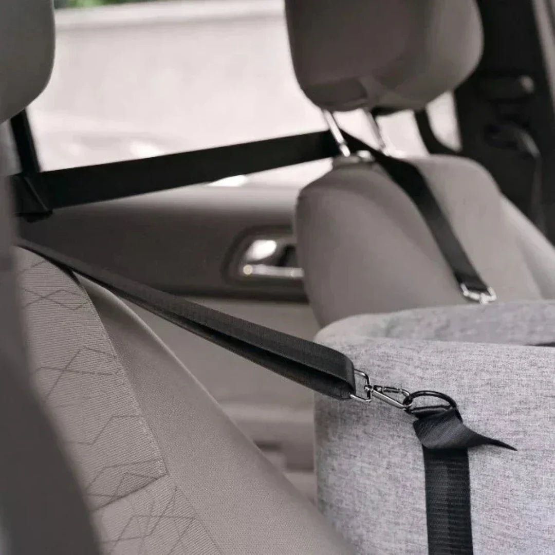 Säker transport för ditt husdjur - PetGuard Seat