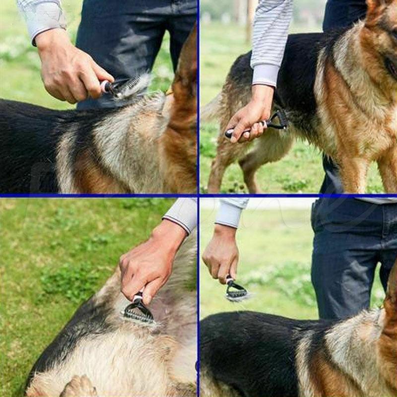 Dubbelsidig utredningsborste för husdjur – Smidig pälsvård