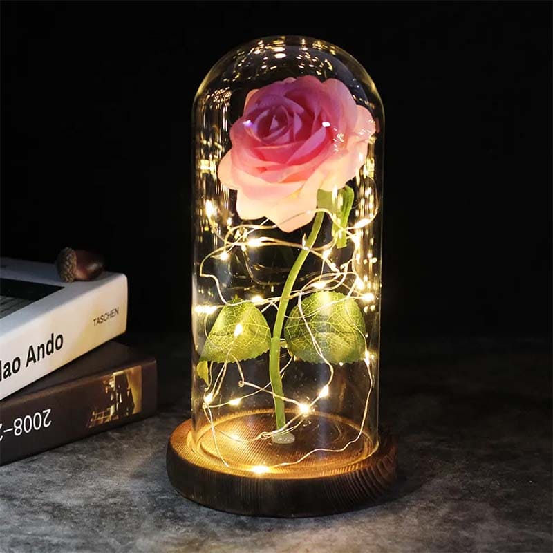 Eternelle Rose under Glaskuppel – Hjertevarme