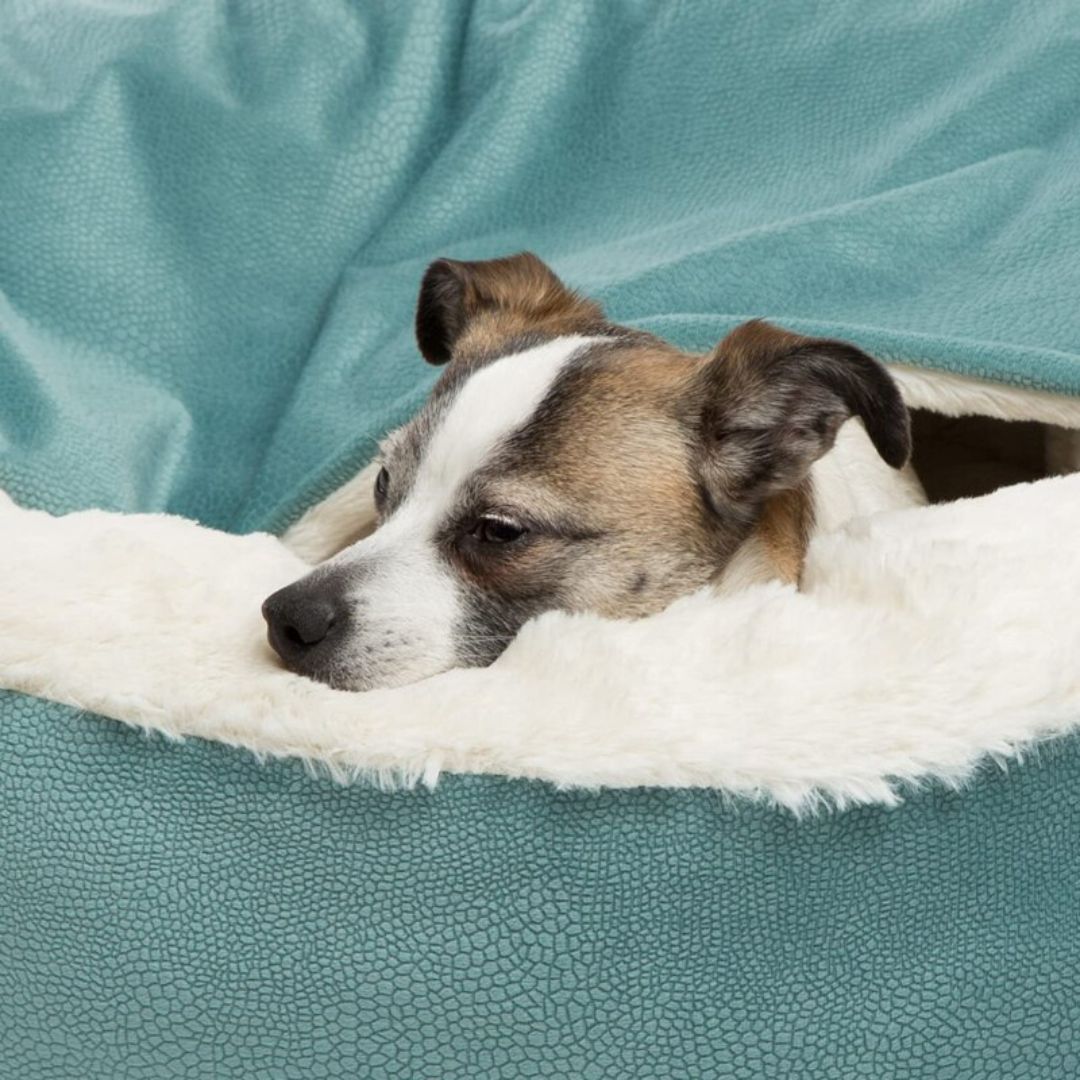 Vinterhundkoja - SnuggleNest för hundar