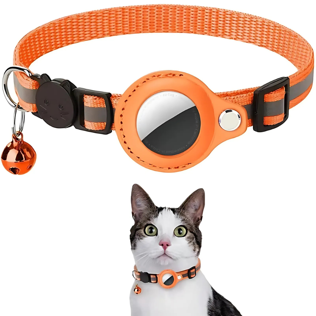 Katthalsband med GPS-hållare och Reflekterande Design