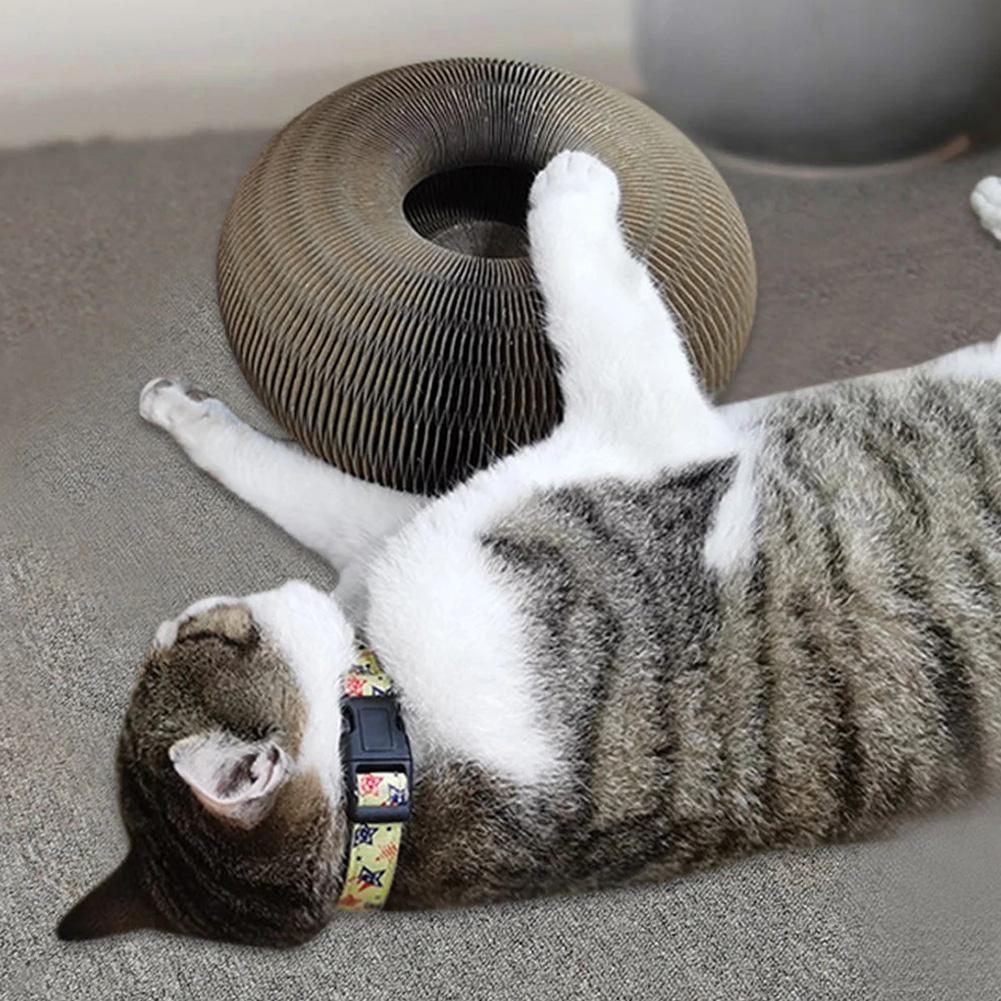 Aktiv Leg til Din Kat - PurrFit