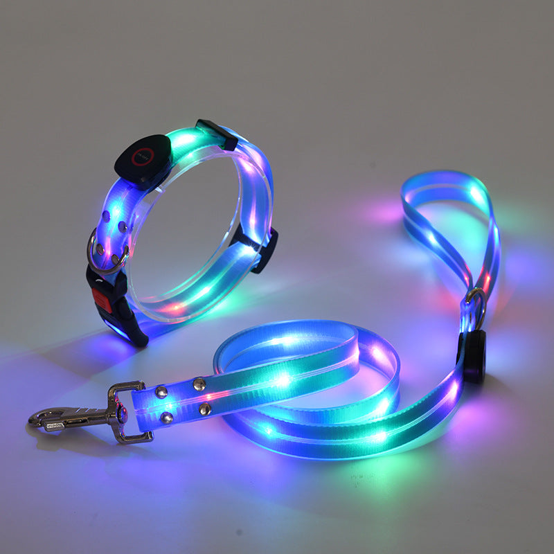 Hundehalsbånd med LED lys og snor - NightBright