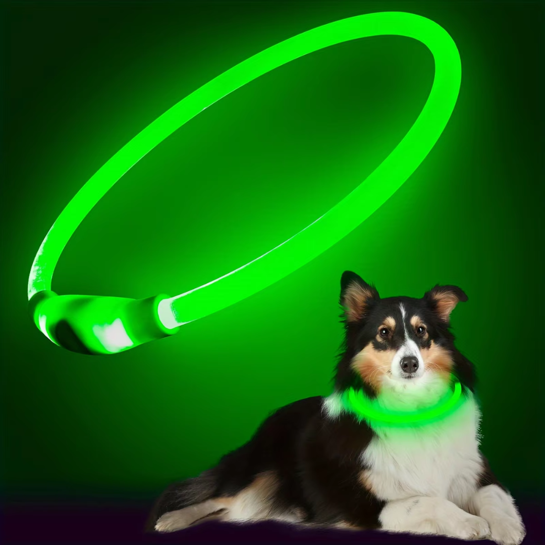 GlowSafe LED Hundhalsband – Uppladdningsbart USB Säkerhetsljus
