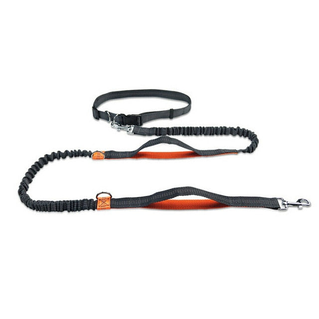 Håndfri elastisk talje hundesnor