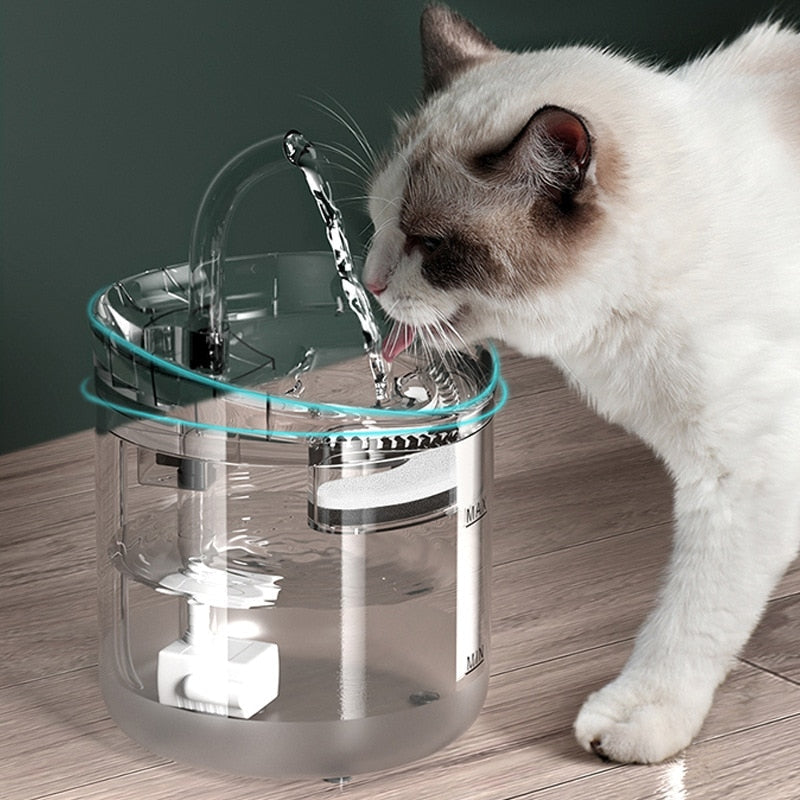 Automatisk sensor pet vand fontæne