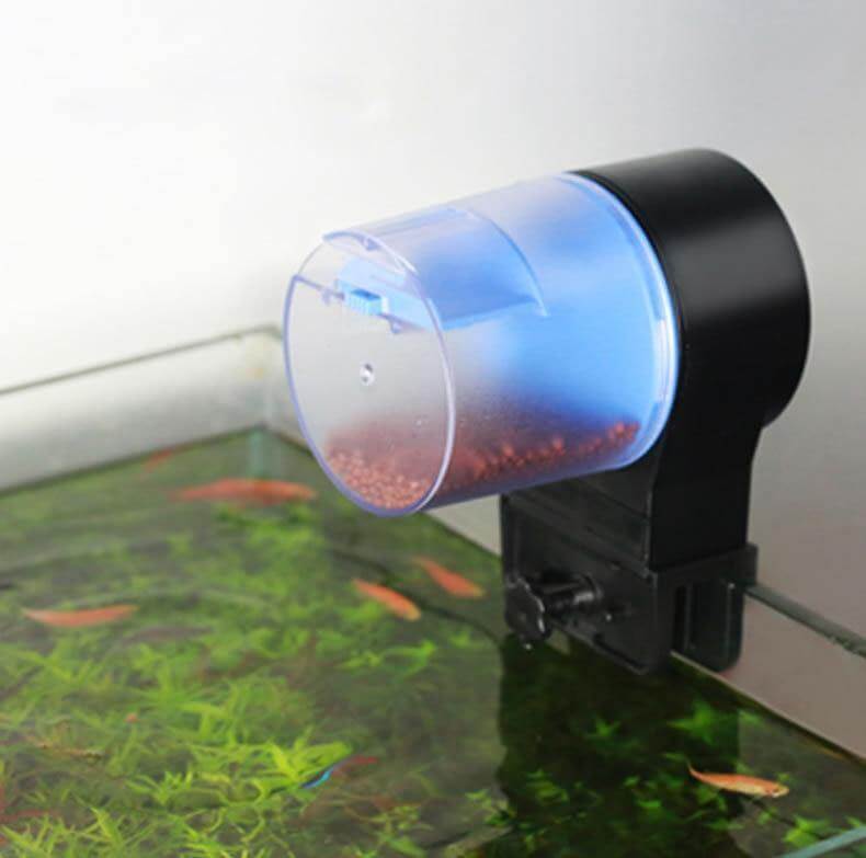 Automatisk timer fiskefoder