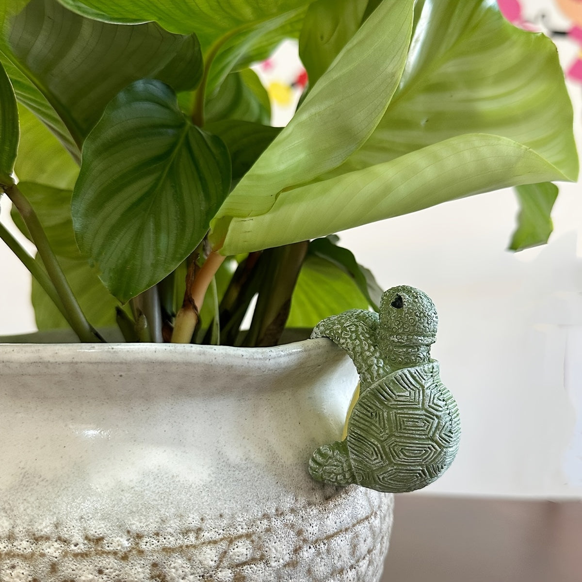 Sød hængeplante i skildpaddedesign – Perfekt til hjemmet og haven