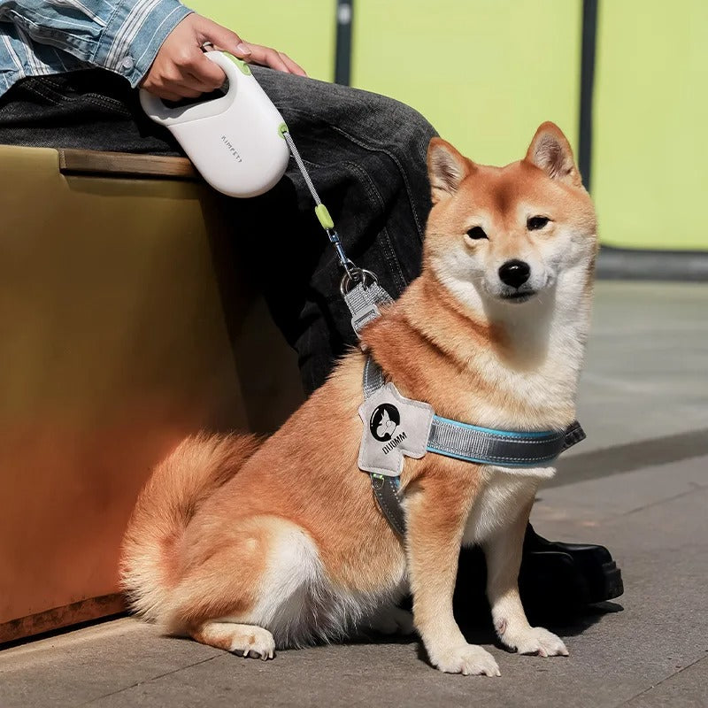 Fleksibel hundesnor med reflekterende bånd - 5 meter