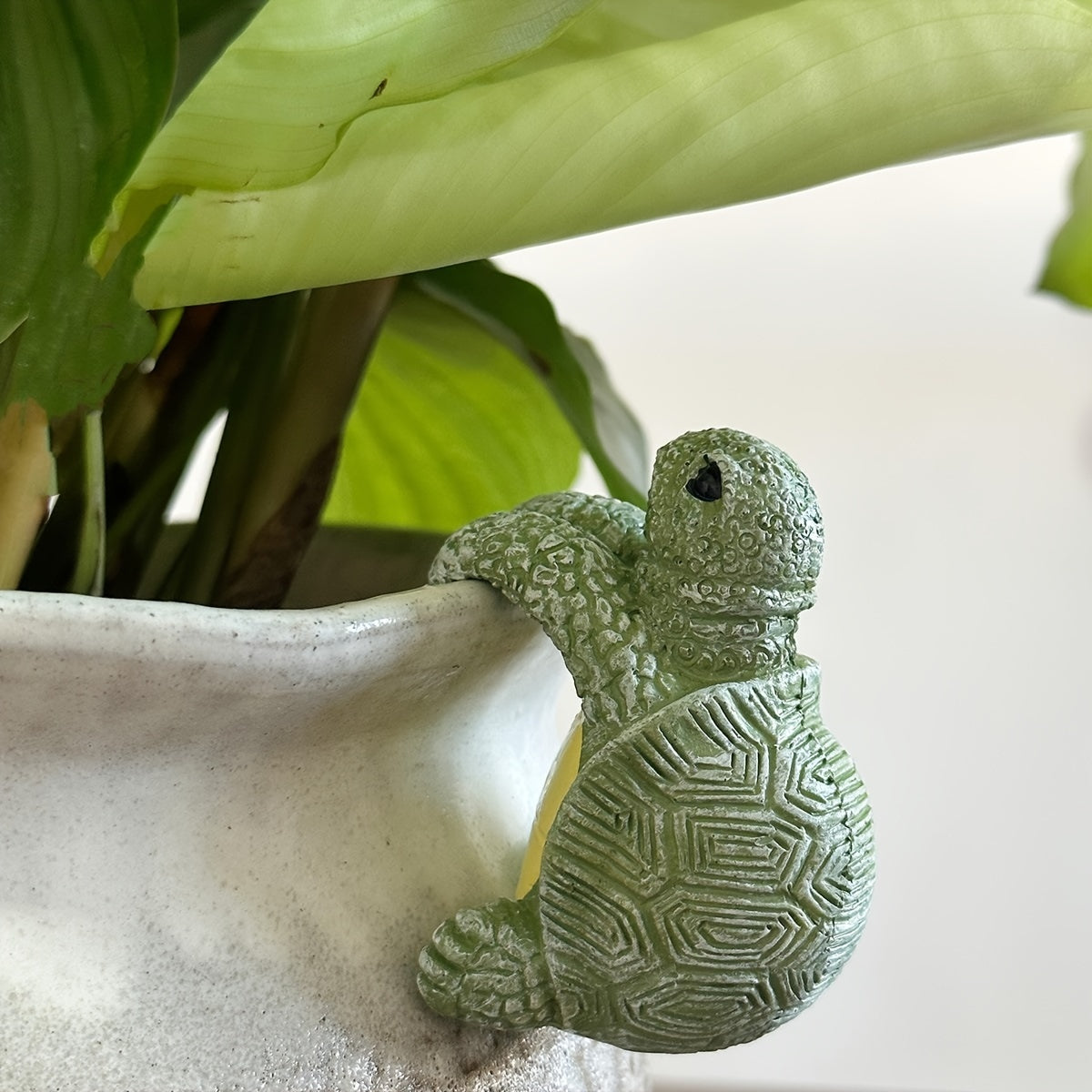 Sød hængeplante i skildpaddedesign – Perfekt til hjemmet og haven
