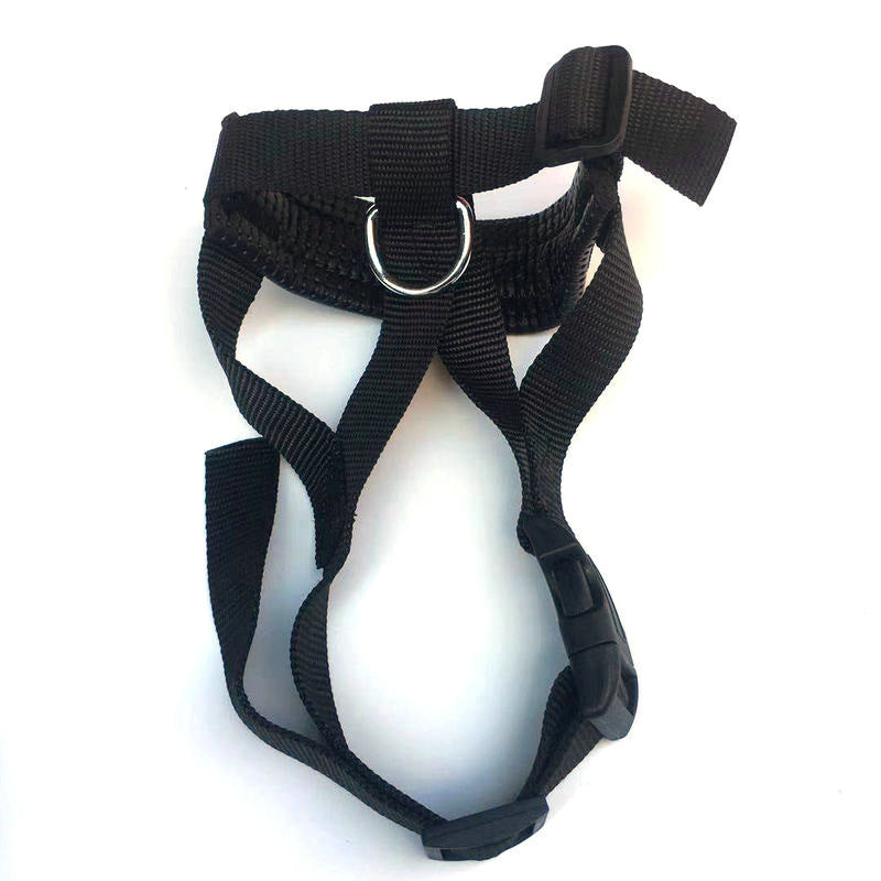 Komfortabel Hundemundkurv – Sikkerhed og Frihed til At Drikke