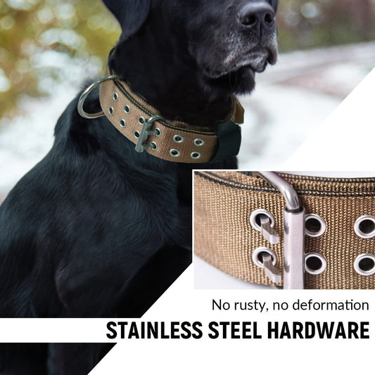 Justerbart Nylon Hundehalsbånd – Komfort og Kontrol til Store Hunde