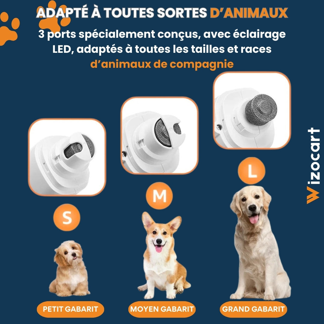 Effektiv 2-i-1 Klipper til Kløer for Hunde og Katte