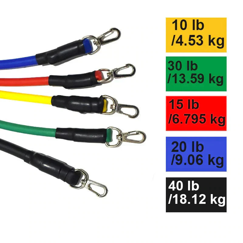 Modular Træningsbånd – FitFlex