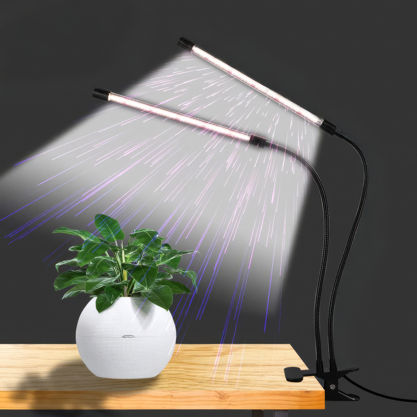 Effektiv LED-växtbelysning för friskare plantor