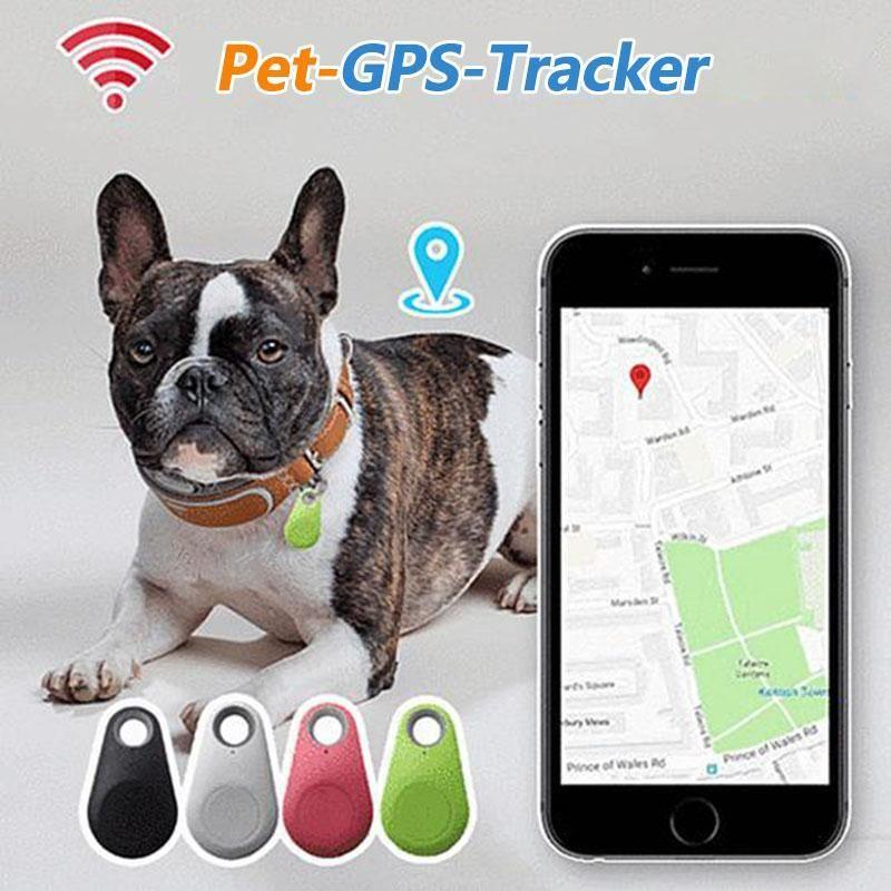 Smart GPS-tracker för husdjur