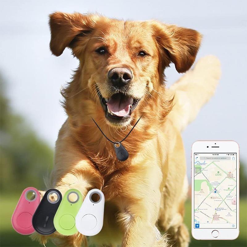 Smart GPS-tracker för husdjur