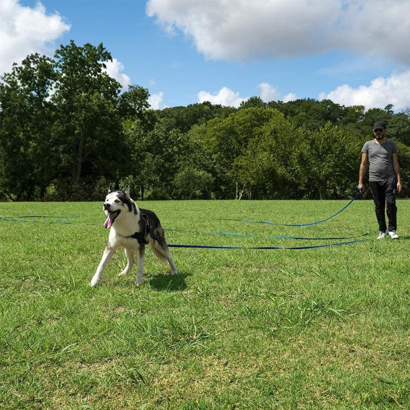 Lång nylonhundsele – Perfekt för träning och utomhusaktiviteter
