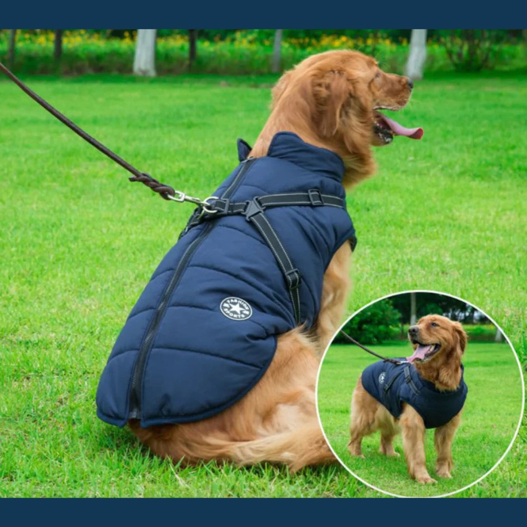 Varm och vattentät hundjacka för vintern