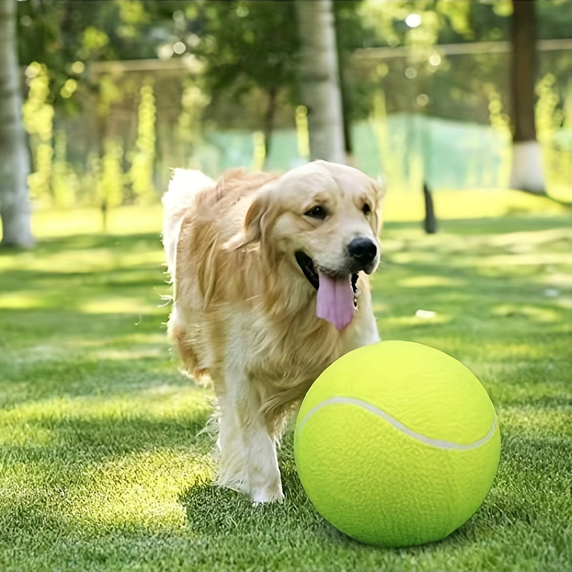 Extra hållbar tennisboll för stora hundar – Perfekt för lek och utomhusaktiviteter