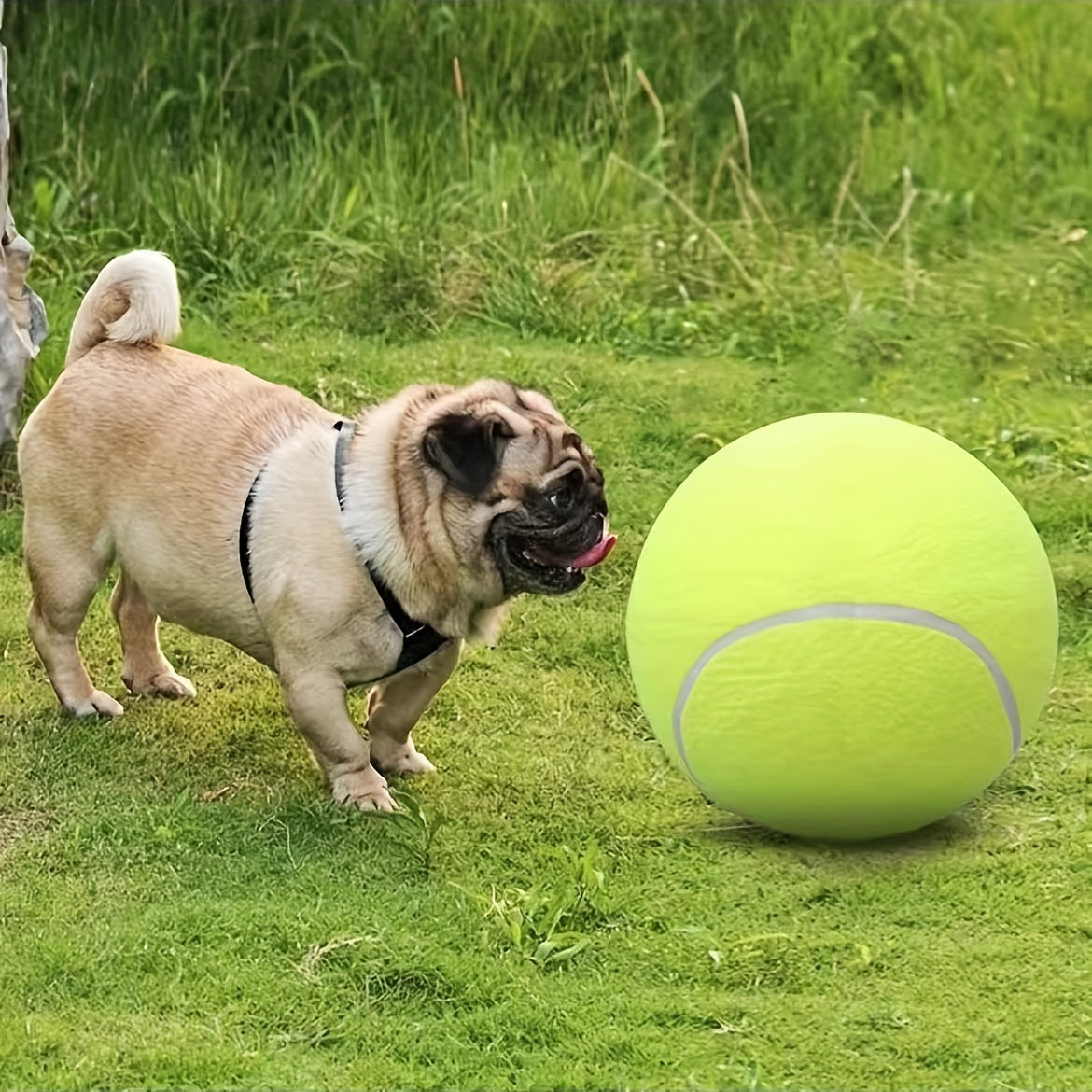 Extra hållbar tennisboll för stora hundar – Perfekt för lek och utomhusaktiviteter