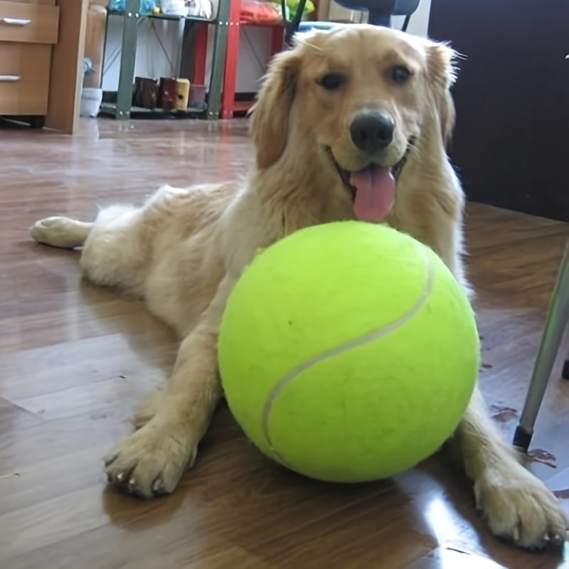 Extra hållbar tennisboll för stora hundar – Perfekt för lek och utomhusaktiviteter
