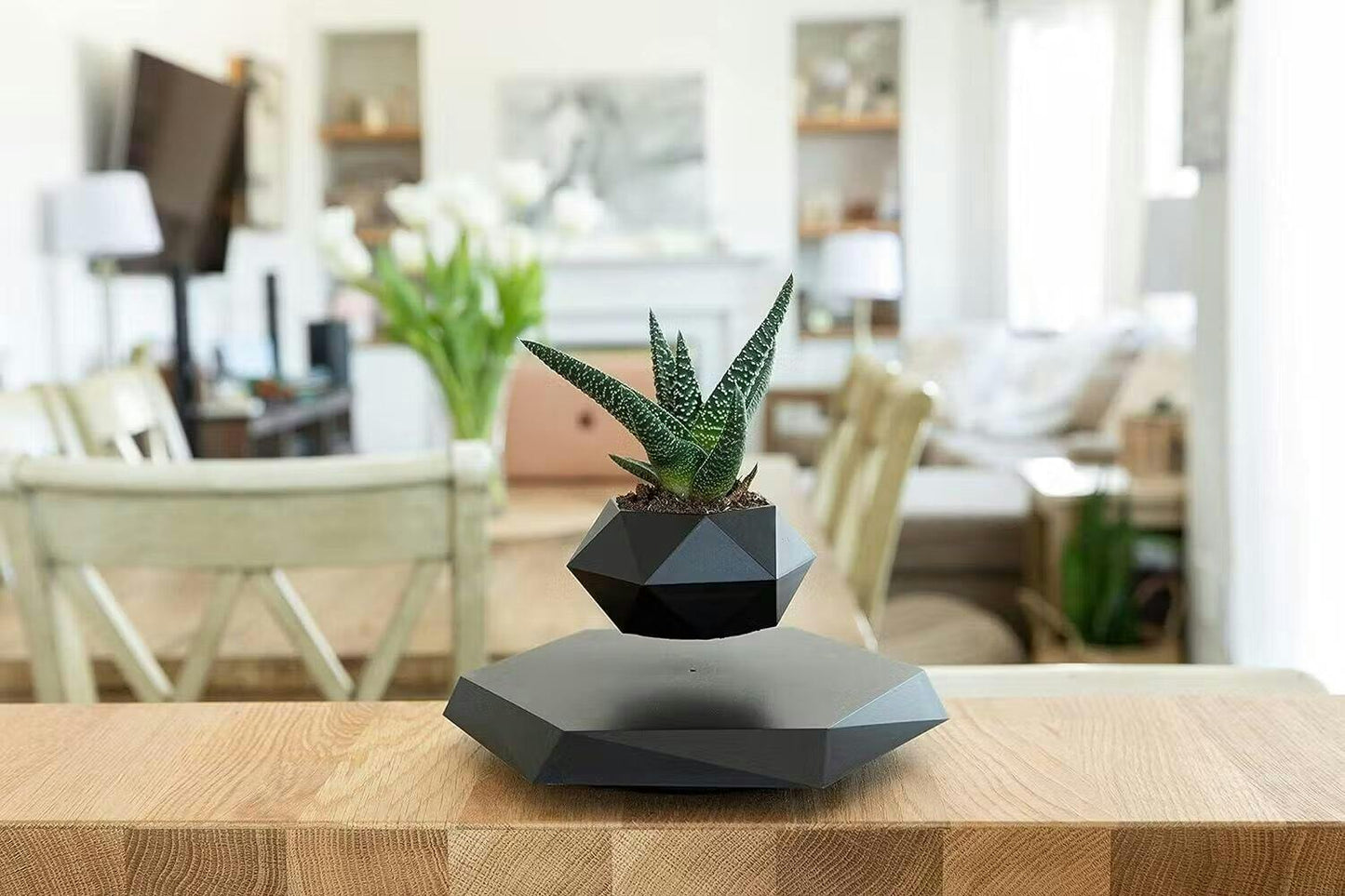 Svævende Plantekrukke med Magnetisk Levitationssystem - FloraMag