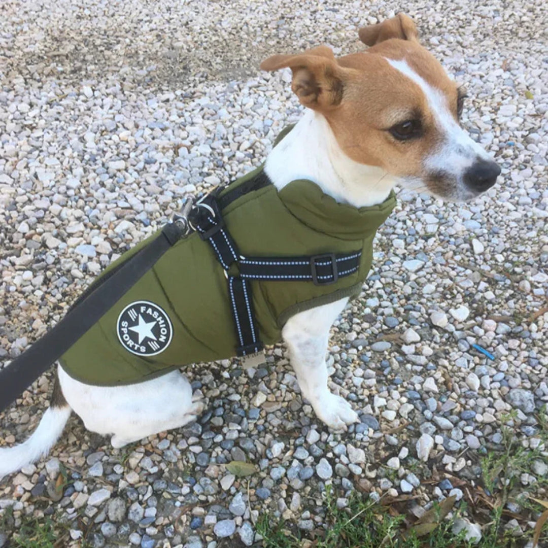 Varm och vattentät hundjacka för vintern