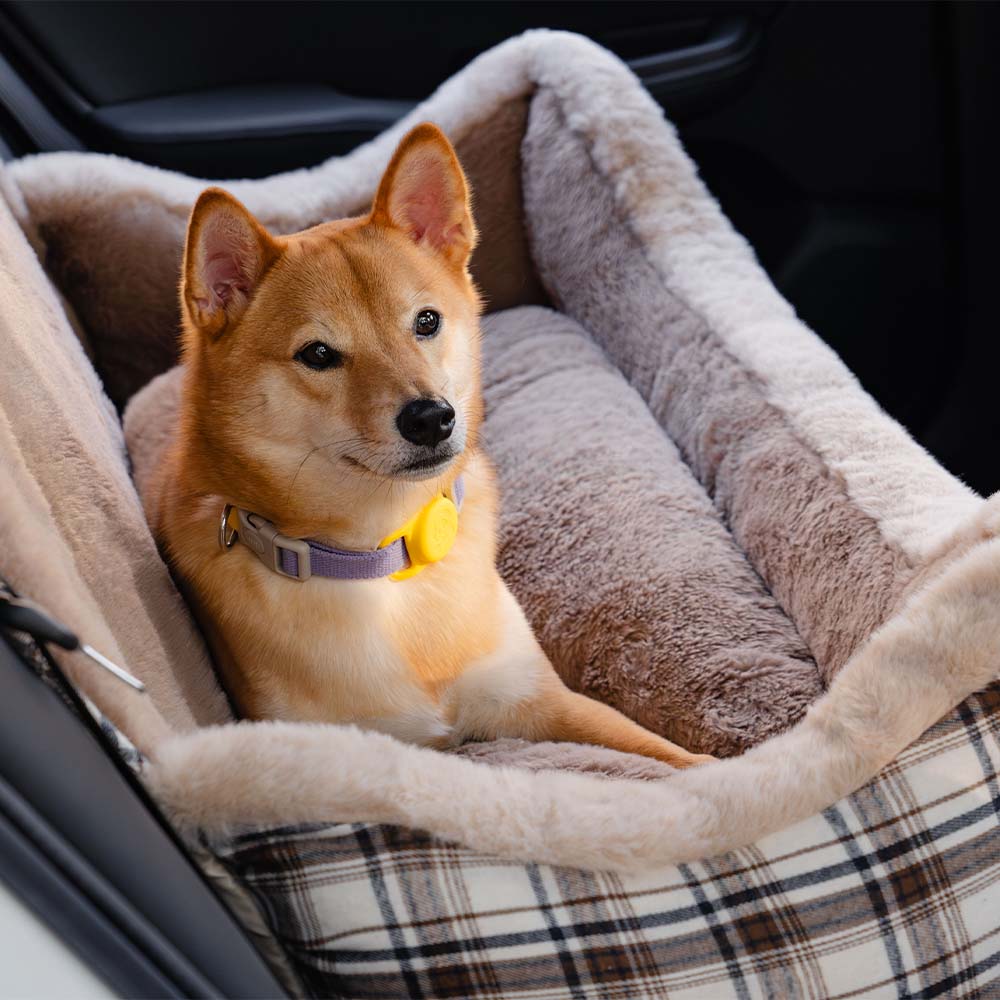 Säker och Bekväm Bilbarnstol för Djur – PetGuard TravelNest