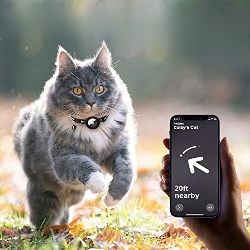 Katthalsband med GPS-hållare och Reflekterande Design