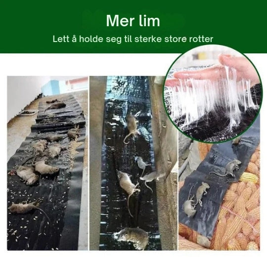 Højstyrke klæbende fælder til effektiv bekæmpelse af gnavere