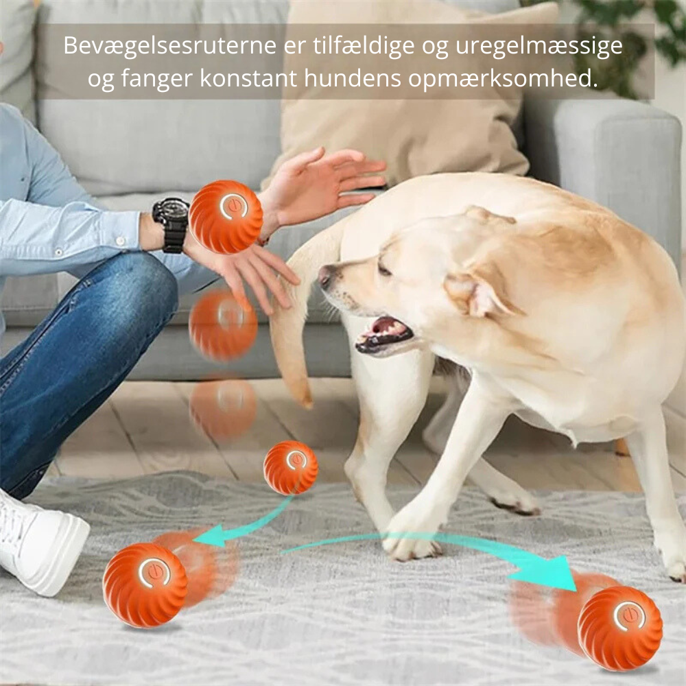 Automatisk Boldkaster til Hunde – Aktiver & Glæd Din Hund