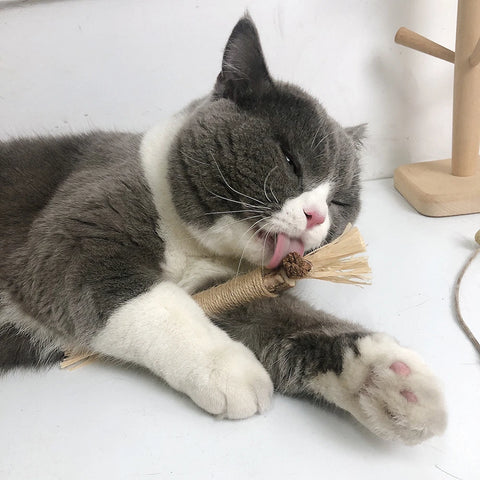 Økologiske Tyggepinde til Katte - Naturlig Tandpleje og Leg