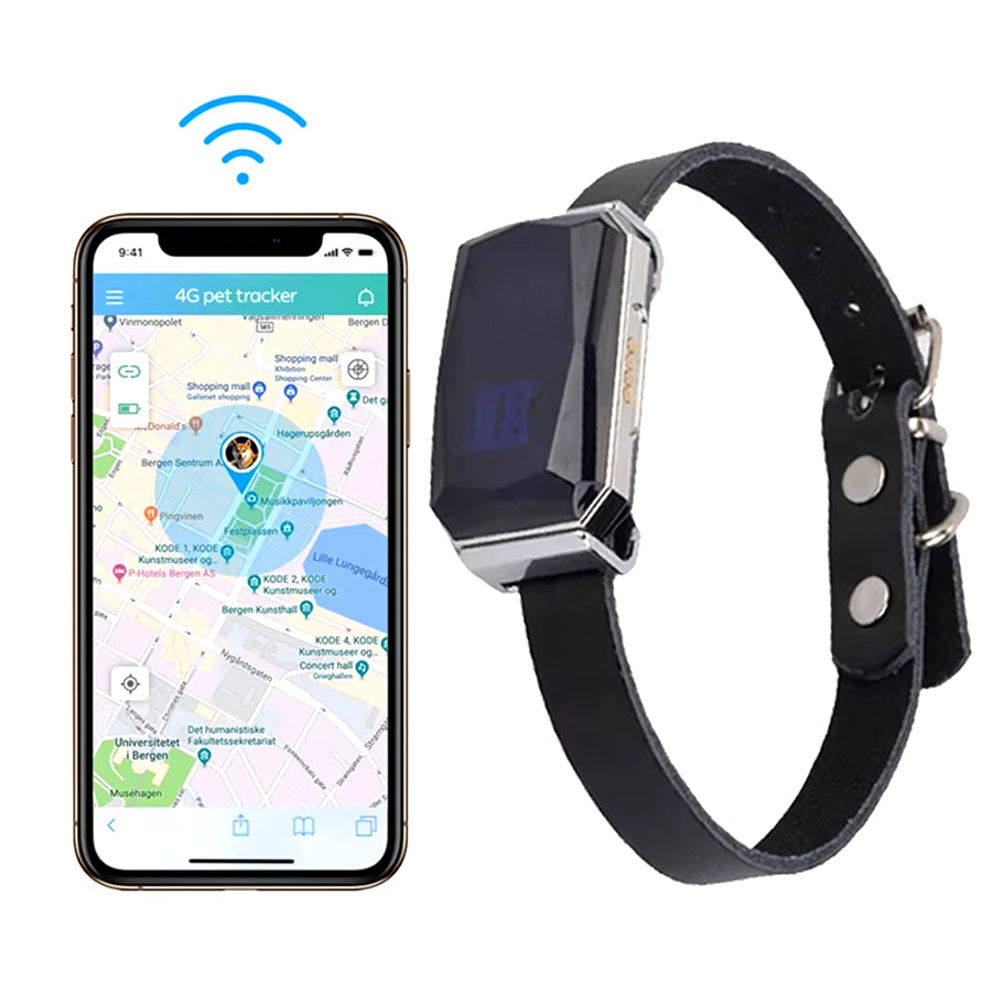 GPS-halsband för husdjur med global räckvidd