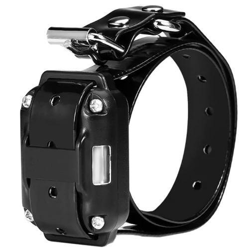 Hundträningshalsband med Fjärrkontroll och Justerbara Inställningar