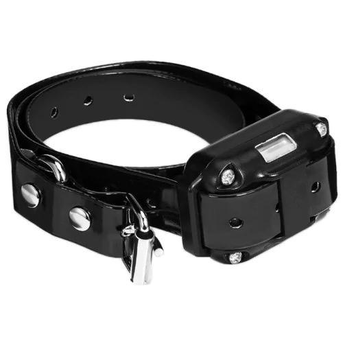 Hundträningshalsband med Fjärrkontroll och Justerbara Inställningar