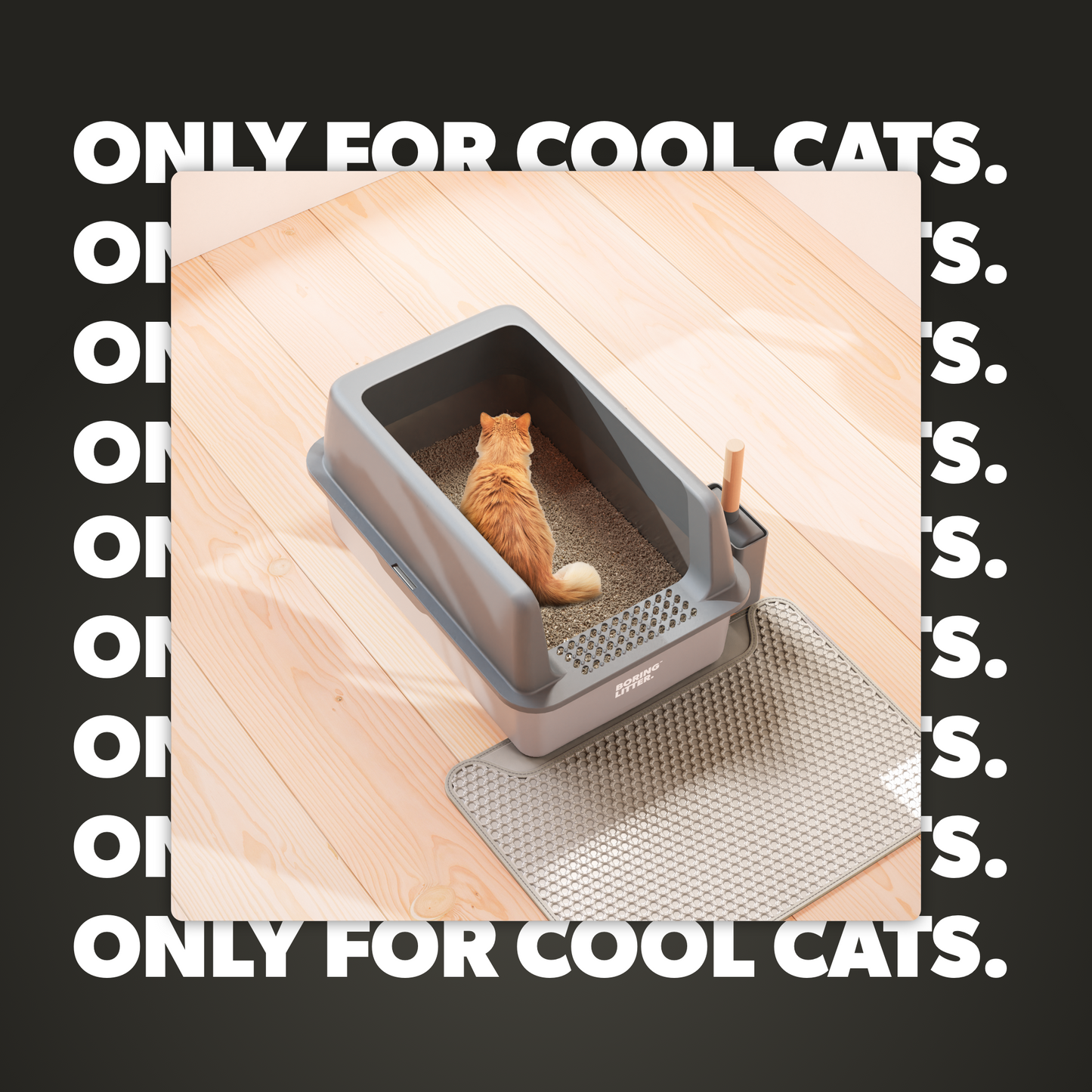Håll ditt hem rent med den rostfria kattlådan – CatGuard