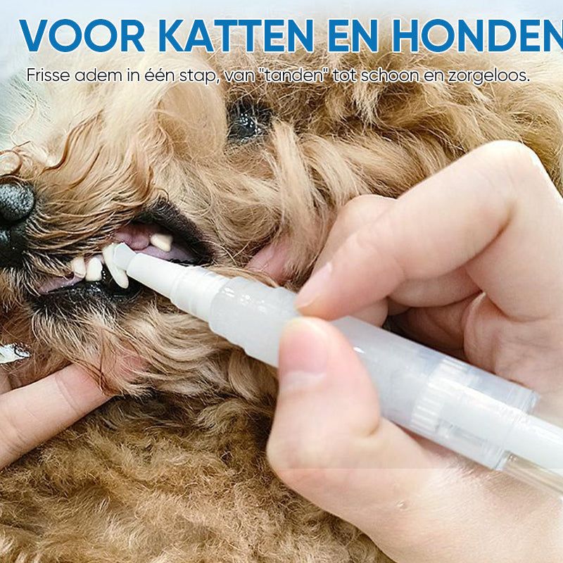 Tandbørste til Husdyr - Dyrevenlig Pleje