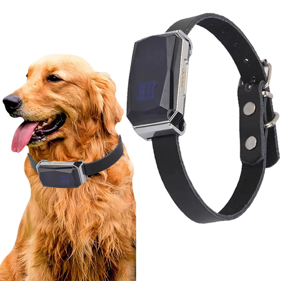 GPS-halsband för husdjur med global räckvidd